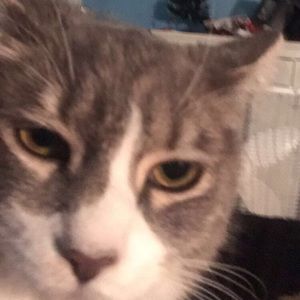 Meet your Posher, Destiny